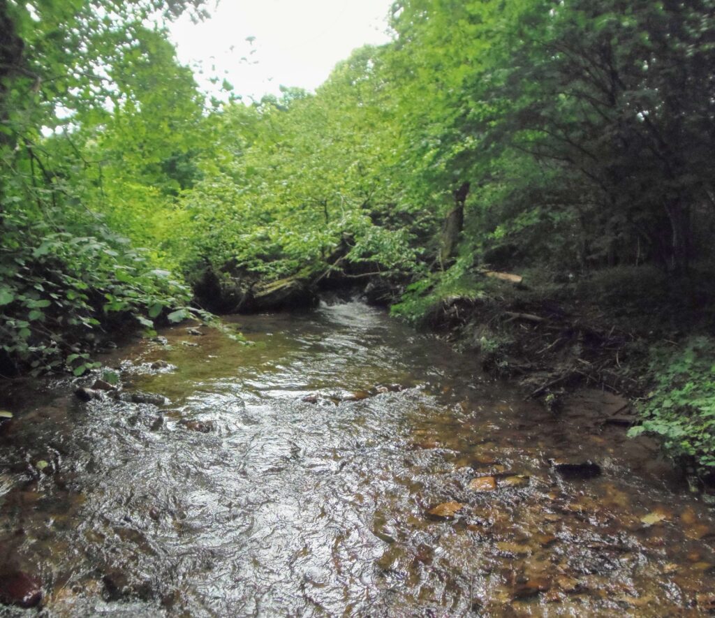Moštenický potok. Breziny/Drahy. Prírodná kaskáda. (r.2021/OlympusSP810UZ)