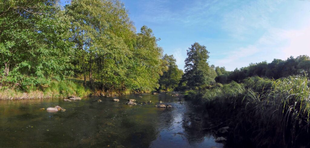 Slatina. Nad Slatinkou. Holý breh riečky. (r.2021/OlympusSP810UZ)