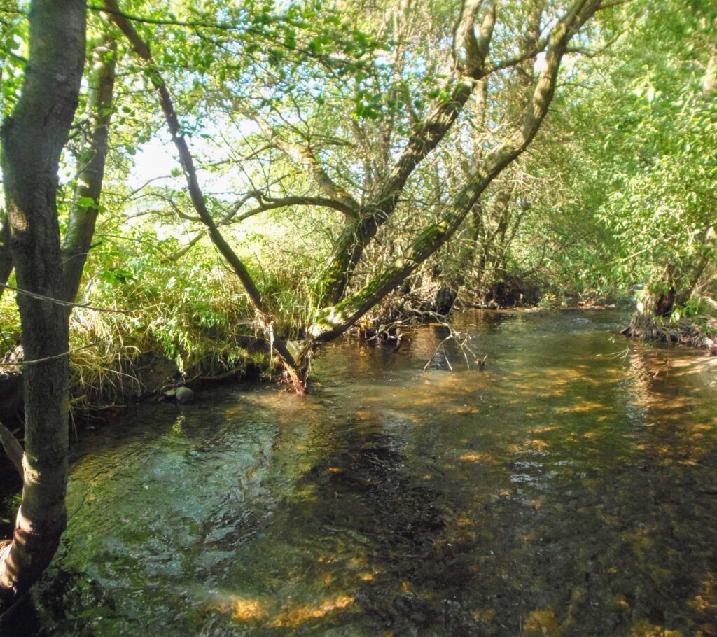 Slatina. Zubratiny. Koryto rieky. (r.2021/OlympusSP810UZ)