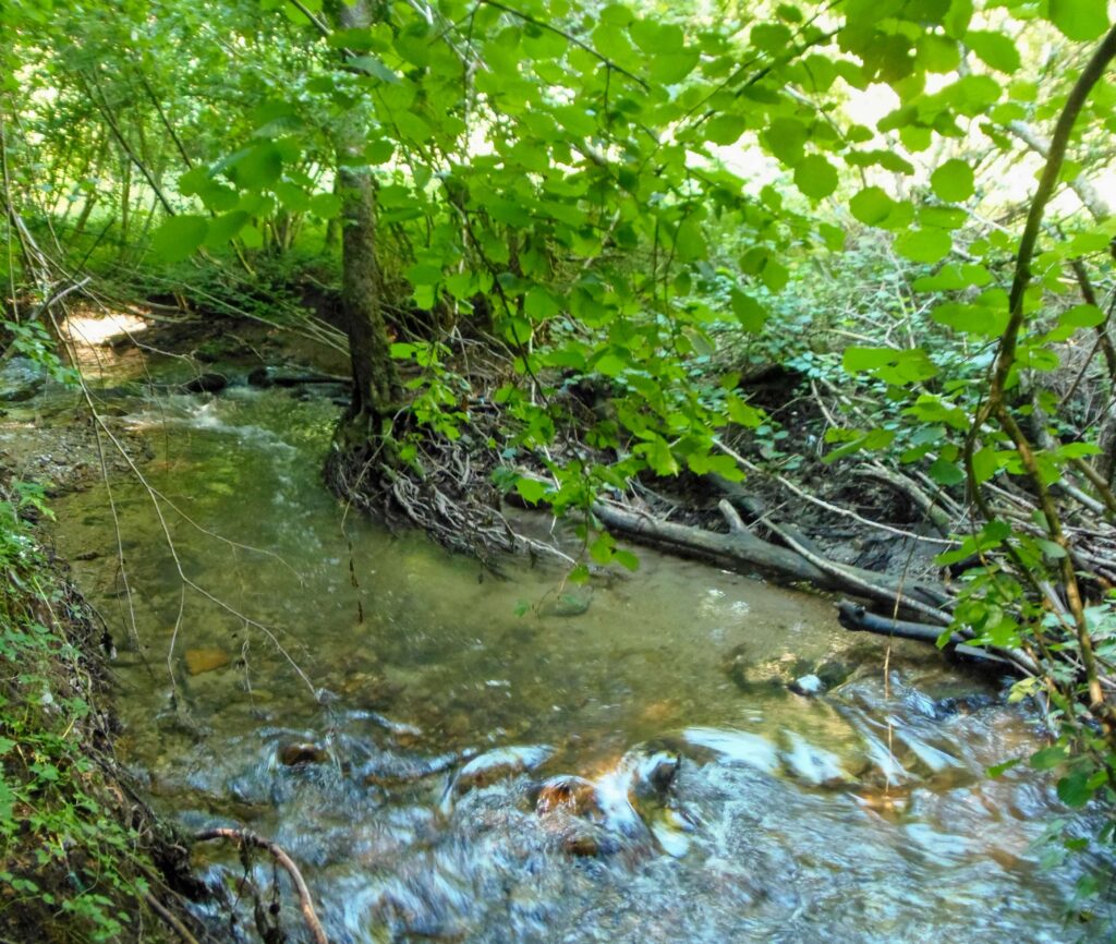 Moštenický potok. Breziny/Drahy. Prúdy potoka. (r.2021/OlympusSP810UZ)