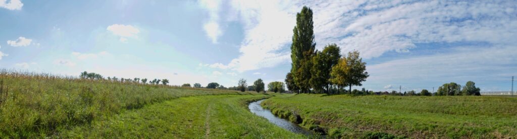 Žitava. Sihoť. Kľukatiaca sa zregulovaná rieka. (r.2021/Canonsp.)