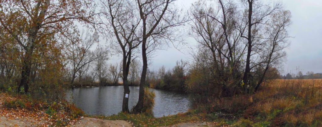 Nitra. Medzi cestami. Rameno na rieke. (r.2021/OlympusSP810UZ)