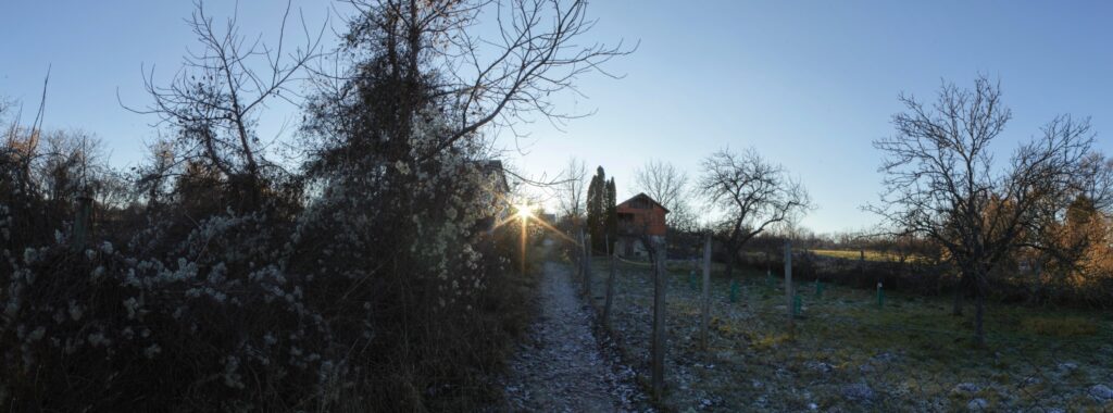 Stará hora. Vinice. (r.2021/Canonsp.)
