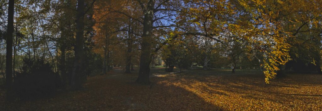 Park. Jeseň. (r.2021/Canonsp.)