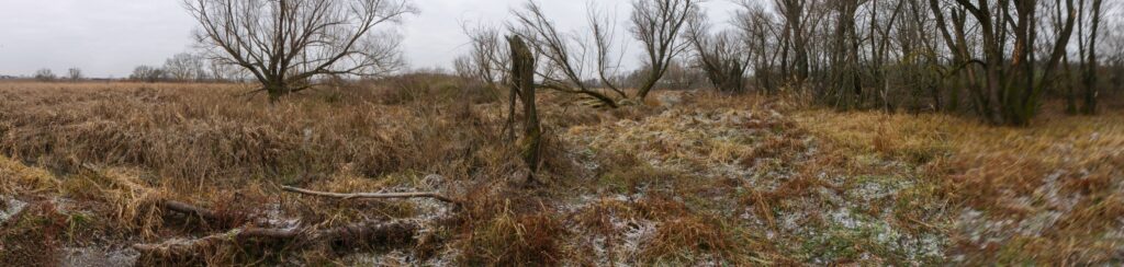 Stará hora. Prítoková časť s potokom Kadaň. (r.2021/Canonsp.)