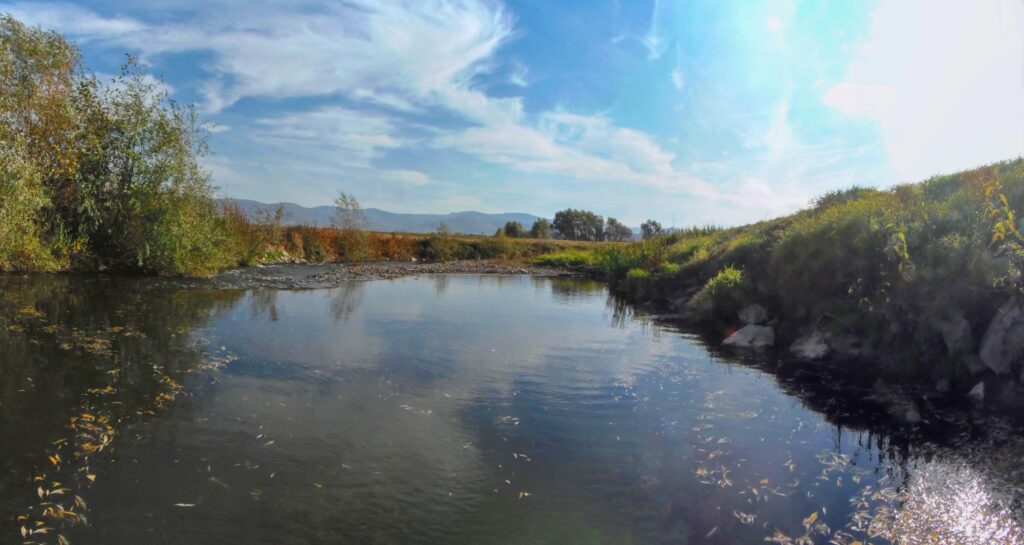 Nitra. Záhumnie. Holé brehy. (r.2021/OlympusSP810UZ)
