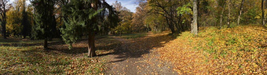Park. Chodník. (r.2021/Canonsp.)