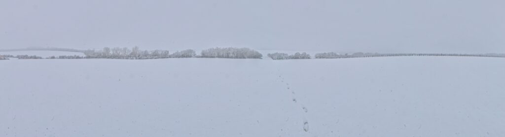 Záhradníctvo. Stopy v snehu. (r.2021/Canonsp.)