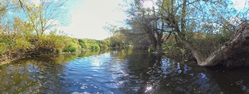 Slatina. Gorovec. Koryto rieky. (r.2021/OlympusSP810UZ)