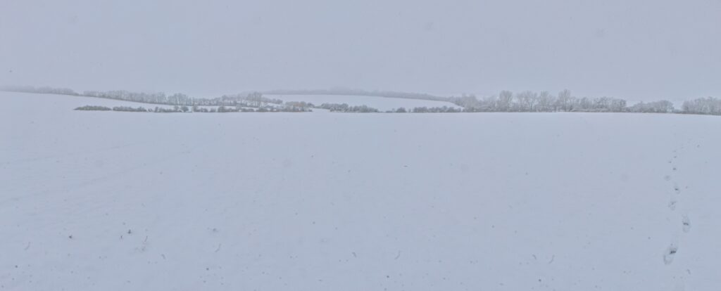 Záhradníctvo. Biela krajina. (r.2021/Canonsp.)