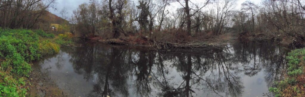 Hron. Sihoť. Meander zimoviska. (r.2021/OlympusSP810UZ)
