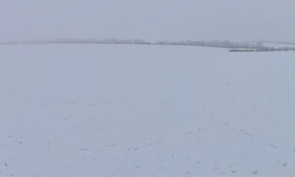 Záhradníctvo. Príchod zimy do poľnohospodárskej krajiny. (r.2021/Canonsp.)