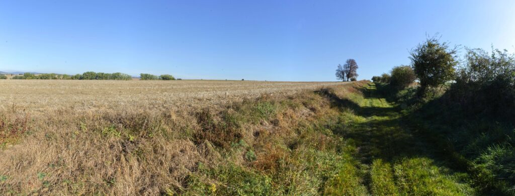Kerňa. Poľná cesta. (r.2021/Canonsp.)