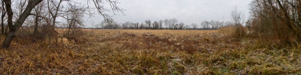 VN Golianovo. Ďarmotské holotiny. Napúšťanie priehrady v prítokovej časti. (r.2021/Canonsp.)