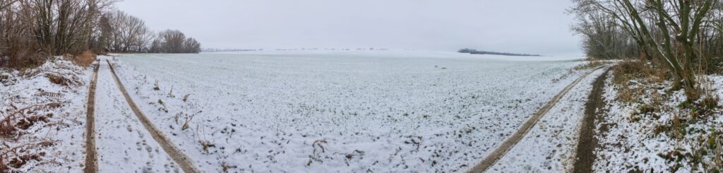 VN Golianovo. Ďarmotské holotiny. Cestička povedľa priehrady. (r.2021/Canonsp.)