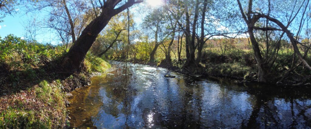 Slatina. Gorovec. Zátišie. (r.2021/OlympusSP810UZ)