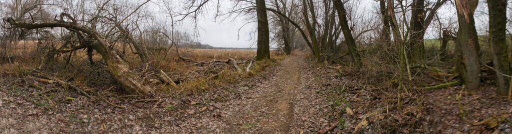 VN Golianovo. Ďarmotské holotiny. Cesta po pravej strane priehrady. (r.2021/Canonsp.)