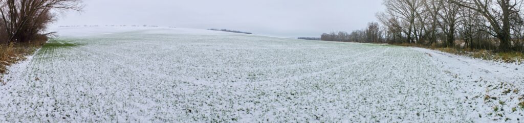 VN Golianovo. Ďarmotské holotiny. Zima v okolí priehrady. (r.2021/Canonsp.)