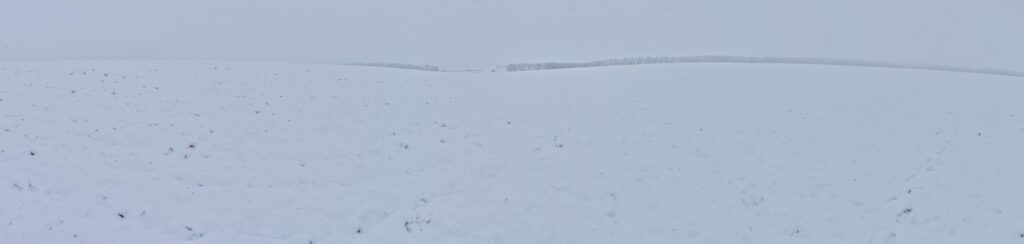 Želiarske/Malé pažite. Poľnohospodárska krajina. (r.2021/Canonsp.)