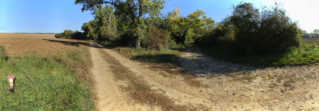 Lúčka. Rázcestie. (r.2021/Canonsp.)