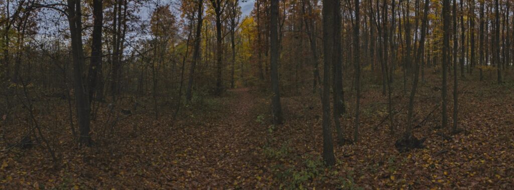 Sýkorovo. Jesenná hora. (r.2021/Canonsp.)