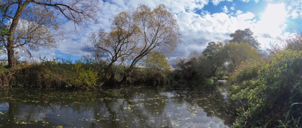 Slatina. Gorovec. Teritórium šťuky. (r.2021/OlympusSP810UZ)