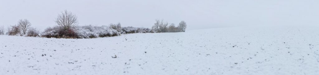 Želiarske/Malé pažite. Potok Lúžtek. Pobrežný lem. (r.2021/Canonsp.)