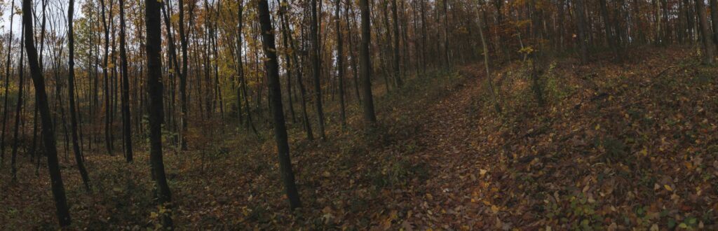 Sýkorovo. Hora. (r.2021/Canonsp.)