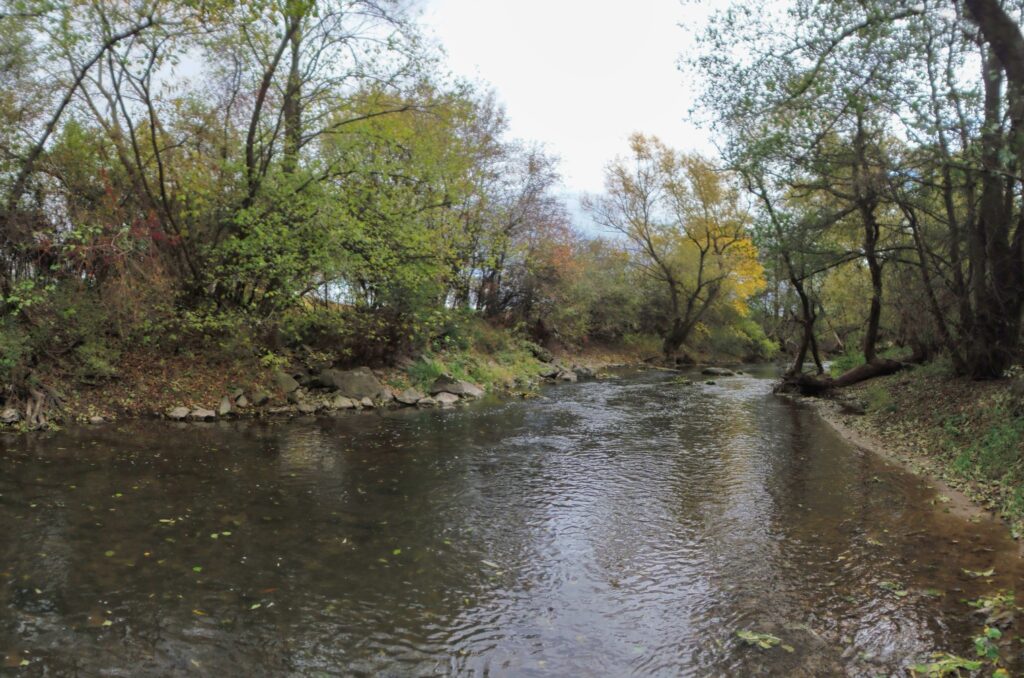 Slatina. Gorovec. Plytký úsek koryta. (r.2021/OlympusSP810UZ)