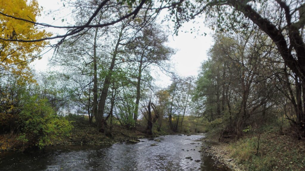 Slatina. Gorovec. Koryto riečky. (r.2021/OlympusSP810UZ)