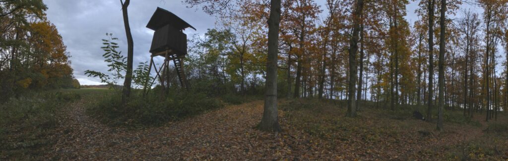 Rakytovo. Posiedka na kraji lesa. (r.2021/Canonsp.)