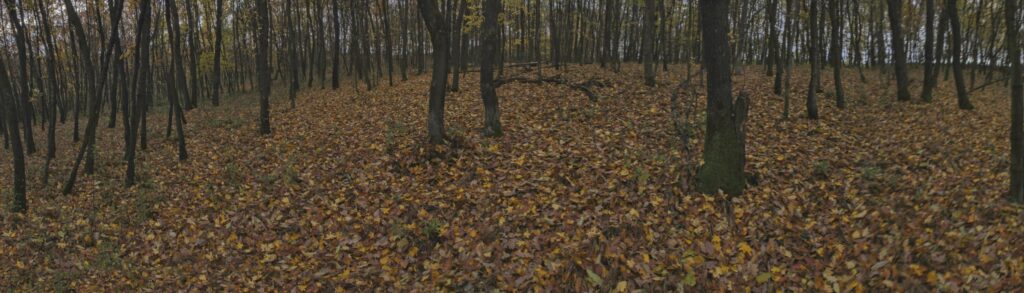 Rakytovo. Hora. (r.2021/Canonsp.)