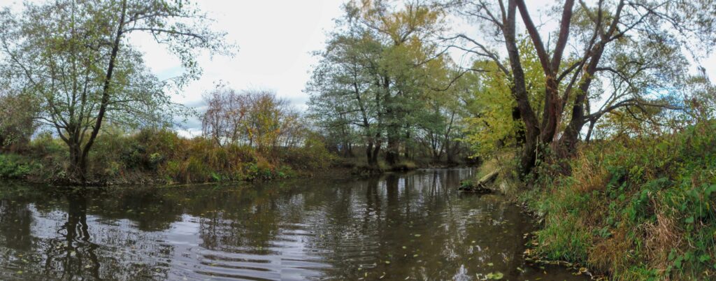 Slatina. Gorovec. Rieka v koryte. (r.2021/OlympusSP810UZ)