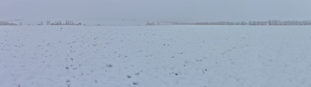 Brestovňa. Prechod zimným polom. (r.2021/Canonsp.)