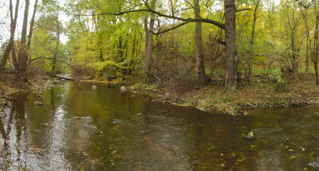 Slatina. Gorovec. Riečka s prirodzeným korytom. (r.2021/OlympusSP810UZ)