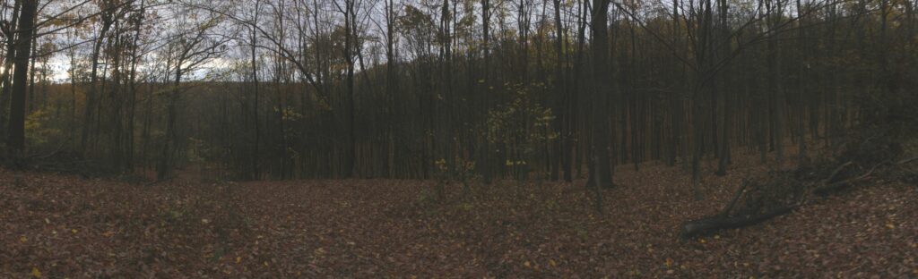 Sulkov. Hora. (r.2021/Canonsp.)