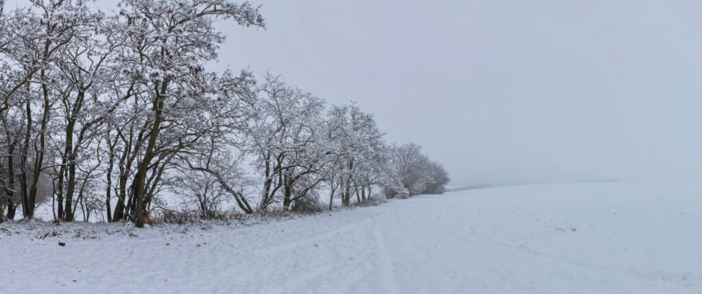 Želiarske. Zimná plnohospodárska krajina. (r.2021/Canonsp.)