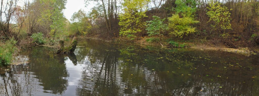 Slatina. Gorovec. Zbytky zatopeného stromu. (r.2021/OlympusSP810UZ)