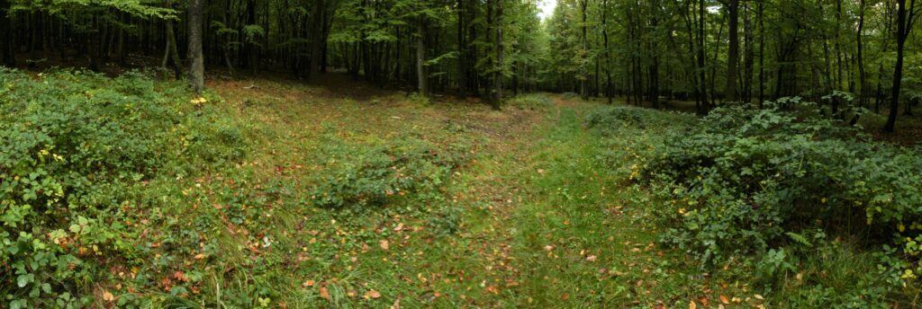 Ostré. Rázcestie. (r.2021/Canonsp.)