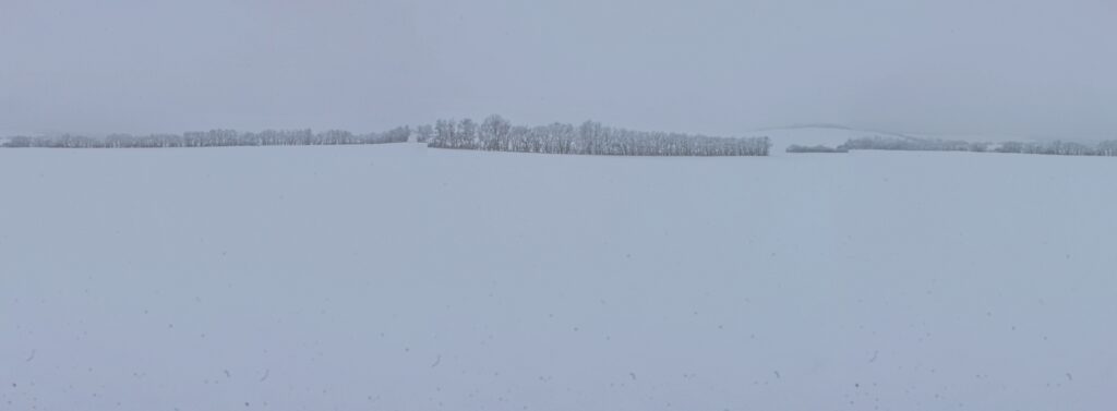 Palinkovo. Zimný deň v poľnohospodárkej krajine. (r.2021/Canonsp.)