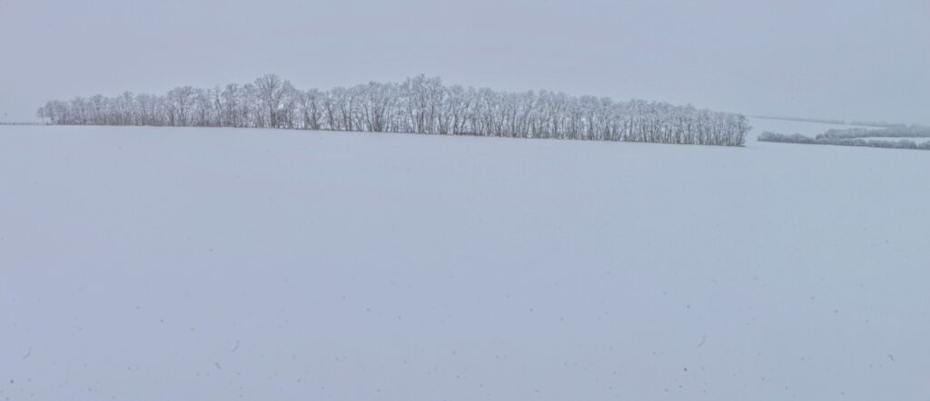 Palinkovo. Vetrolam. (r.2021/Canonsp.)
