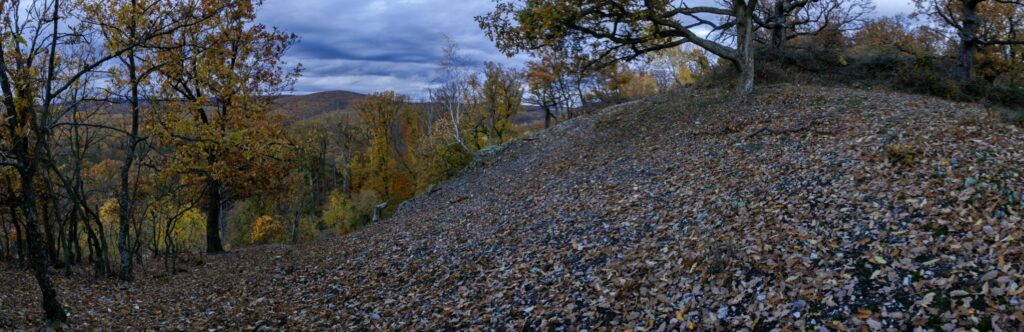 Skalka. Hrebeň s pôsobivými drevinami. (r.2021/Canonsp.)