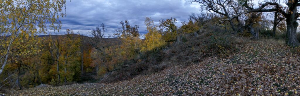 Skalka. Jesenný hrebeň. (r.2021/Canonsp.)