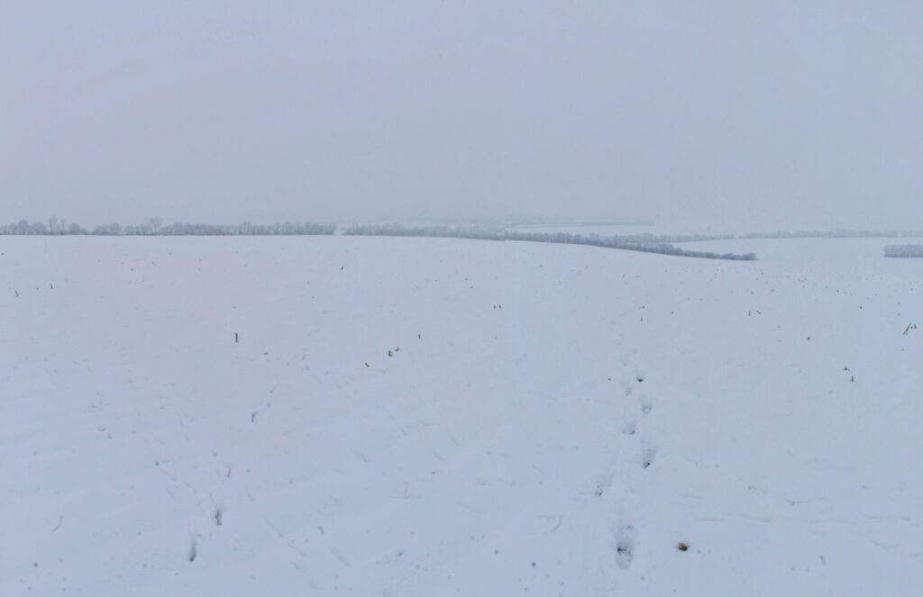 Od dediny. Výhľad do zimnej krajiny. (r.2021/Canonsp.)