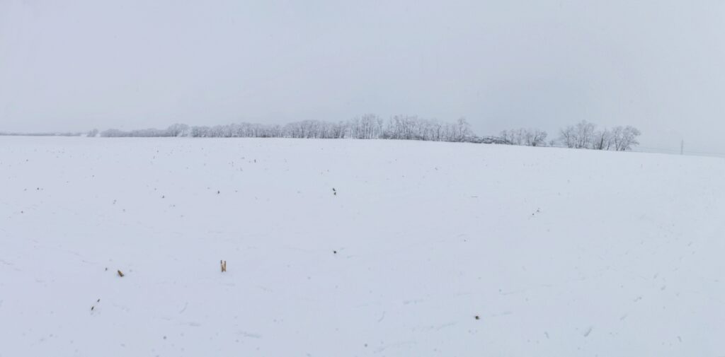Od dediny. Zima v poľnohospodárskej krajine. (r.2021/Canonsp.)