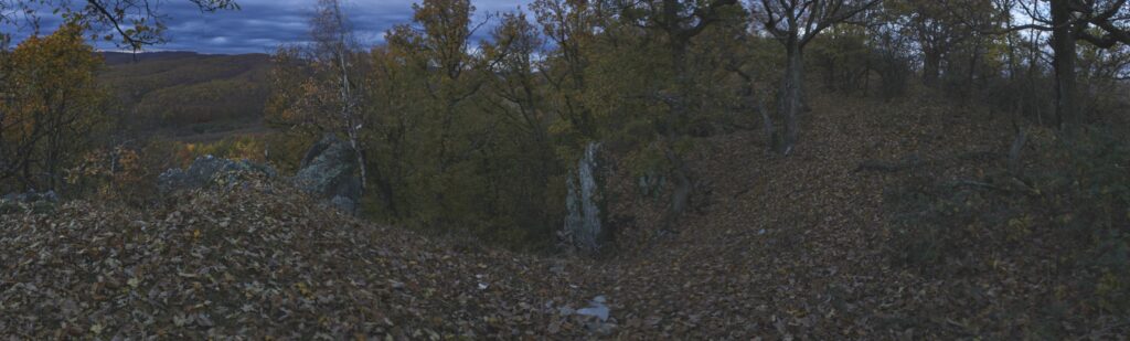 Skalka. Pohľad z hrebeňa do údolia potoka Leveš. (r.2021/Canonsp.)