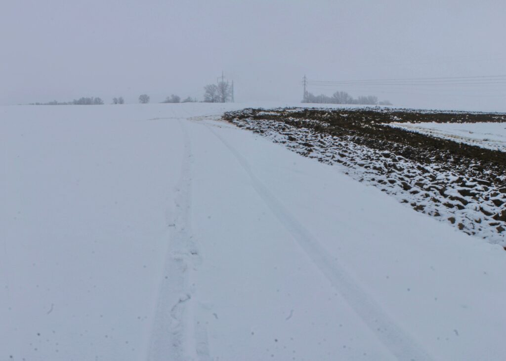 Nad Žigardom. Poľnohospodárske práce v zasneženej krajine. (r.2021/Canonsp.)