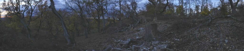 Skalka. Podvečer na hrebeni. (r.2021/Canonsp.)