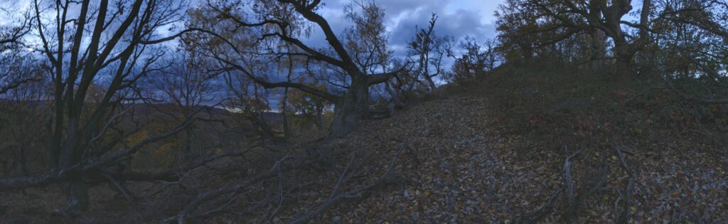 Skalka. Doby na hrebeni. (r.2021/Canonsp.)