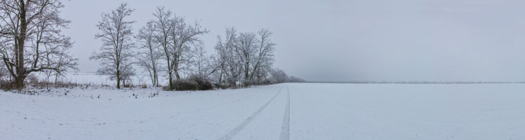 Za vŕškom. Pustatiny juhu. (r.2021/Canonsp.)